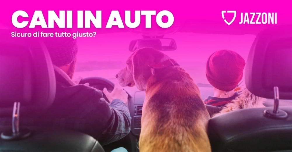 Immagine Trasporto cani in auto: regole, sicurezza e consigli per viaggiare sereni